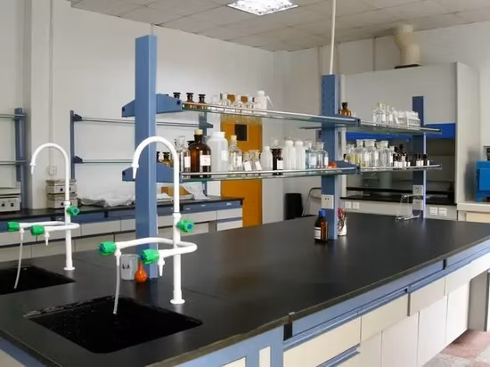 Flavor and Fragrance Benzyl Salicylate CAS 118